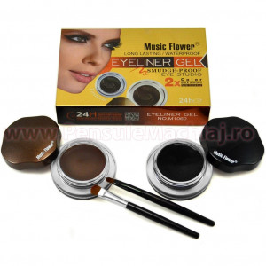 Eyeliner Gel 2 culori Eye Studio Black & Brown + 2 pensule
