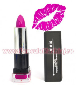 Ruj Hidratant - Professional Lipstick #06 - Berry Taste