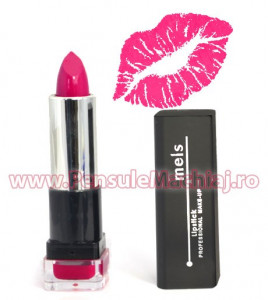 Ruj Hidratant - Professional Lipstick #04 - Berry Seduction