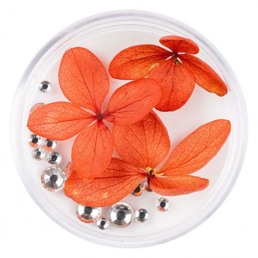 Flori Uscate Unghii cu cristale - Floral Fairytale #20 LUXORISE