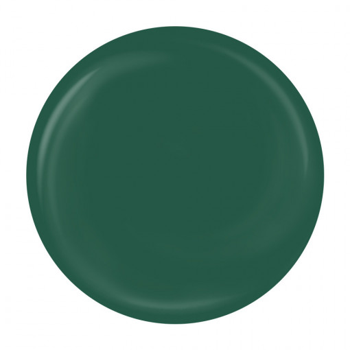 Gel Pictura Unghii LUXORISE Perfect Line - Green, 5ml