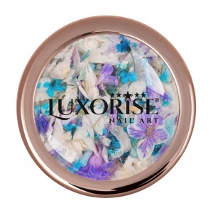 Flori Uscate Unghii LUXORISE - Cosmic Petal - Img 2