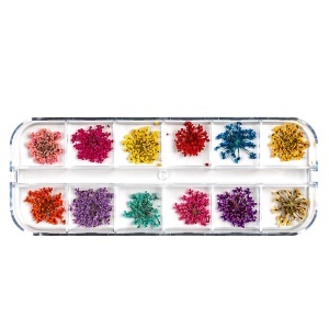 Flori Uscate Unghii LUXORISE - Flower Romance, 12 modele - Img 3