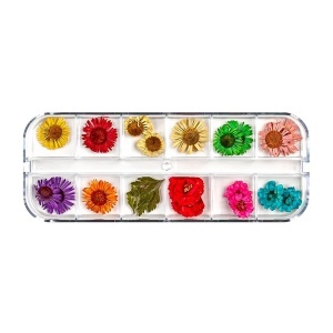 Flori Uscate Unghii LUXORISE - Flower Dream, 12 modele - Img 2