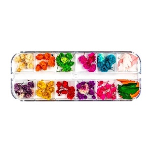 Flori Uscate Unghii LUXORISE - Rainbow Bloom, 12 modele - Img 2