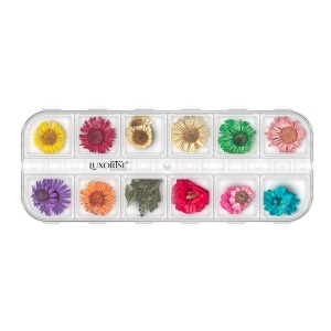Flori Uscate Unghii LUXORISE - Flower Dream, 12 modele