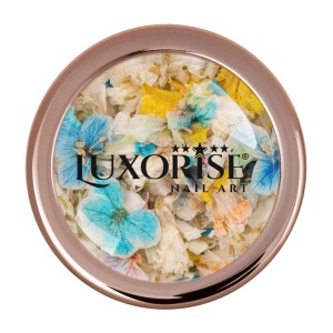 Flori Uscate Unghii LUXORISE - Pastel Vibe - Img 2