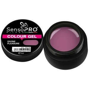 Gel UV Colorat Divine Pleasure 5ml, SensoPRO Milano