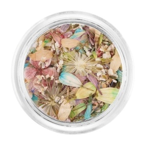 Flori Uscate Unghii LUXORISE - Frozen Spring