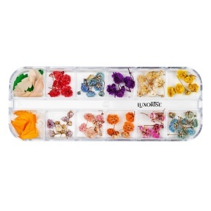 Flori Uscate Unghii LUXORISE - Rainbow Bloom, 12 modele - Img 3