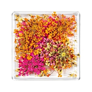 Flori Uscate Unghii LUXORISE - Secret Blossom - Img 2