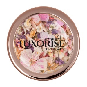 Flori Uscate Unghii LUXORISE - Magic Meadow - Img 2