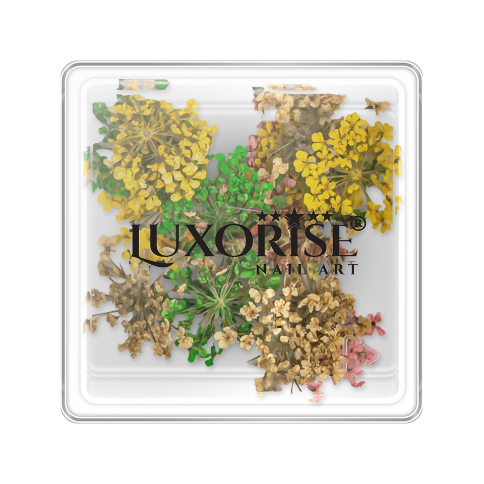 Flori Uscate Unghii LUXORISE - Mirage Meadow