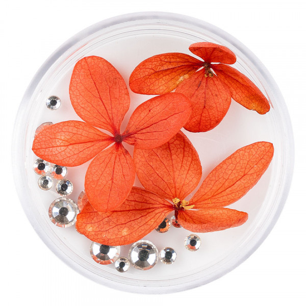 Flori Uscate Unghii LUXORISE cu cristale - Floral Fairytale #20