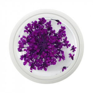 Floare uscata naturala unghii - Soft Violet