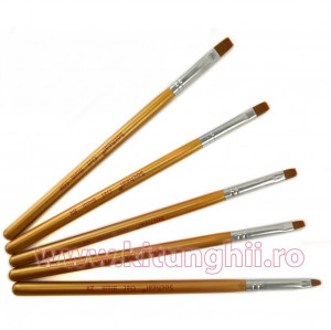 Set 5 Pensule Manichiura, patrate pentru Aplicare Gel Bronze Silk