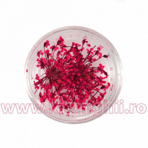 Floare uscata naturala unghii - Hot Pink