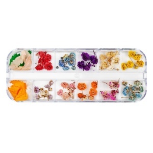 Flori Uscate Unghii LUXORISE - Rainbow Bloom, 12 modele
