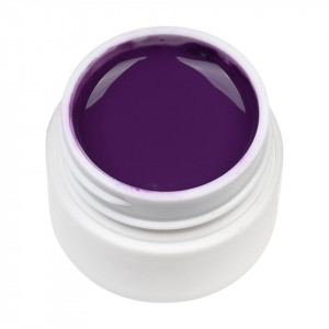Gel UV Color ENS PRO #022 - Mulberry Purple