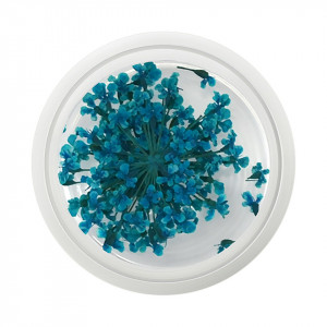 Floare uscata naturala unghii - Turquoise