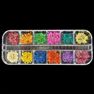 Flori Uscate naturale unghii - Set 12 culori