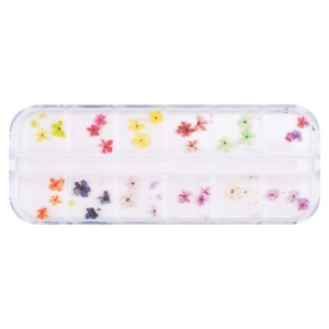Flori Uscate Unghii LUXORISE - Bloom Vibe, 12 modele