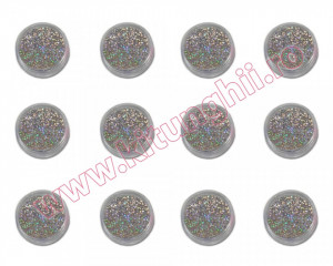 Sclipici Unghii Pulbere Curcubeu Argintiu cu reflexe multicolore - Set 12 bucati