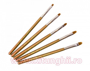 Set 5 Pensule Golden rotunjite pentru Aplicare Gel - nr.2, nr. 4, nr.6, nr. 8, nr. 10