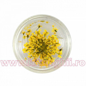 Floare uscata naturala unghii - Sunrise Yellow